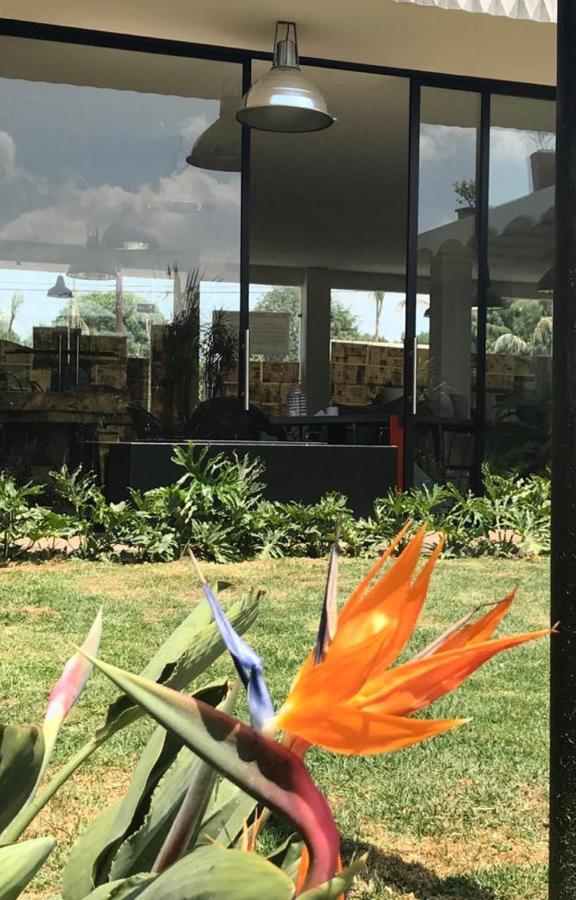 Calido Cosmos Hotel 乔卢拉 外观 照片